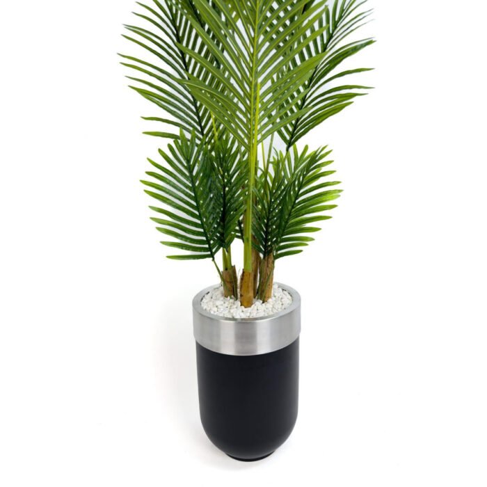 Biçiçek Areka Palmiyesi 160cm 3
