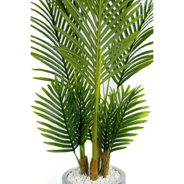 Biçiçek Areka Palmiyesi 160cm 4