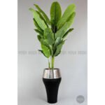 Biçiçek 220cm Starliçe Bitkisi 3