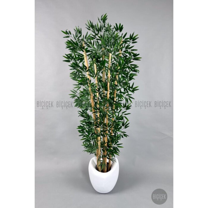 Biçiçek Zen Bambu Ağacı 2