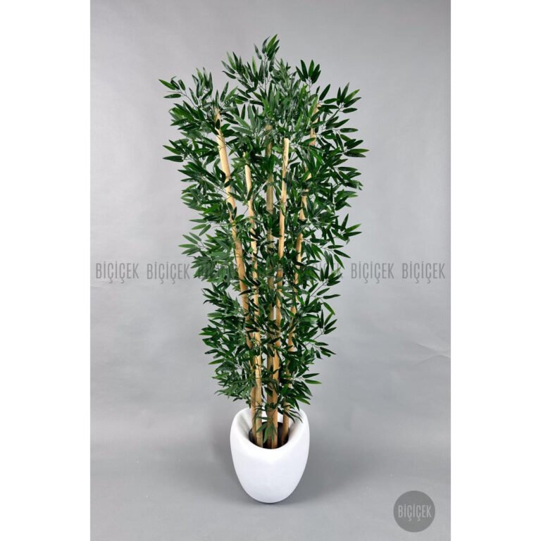 Biçiçek Zen Bambu Ağacı 2