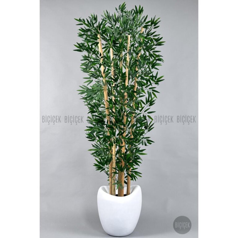 Biçiçek Zen Bambu Ağacı