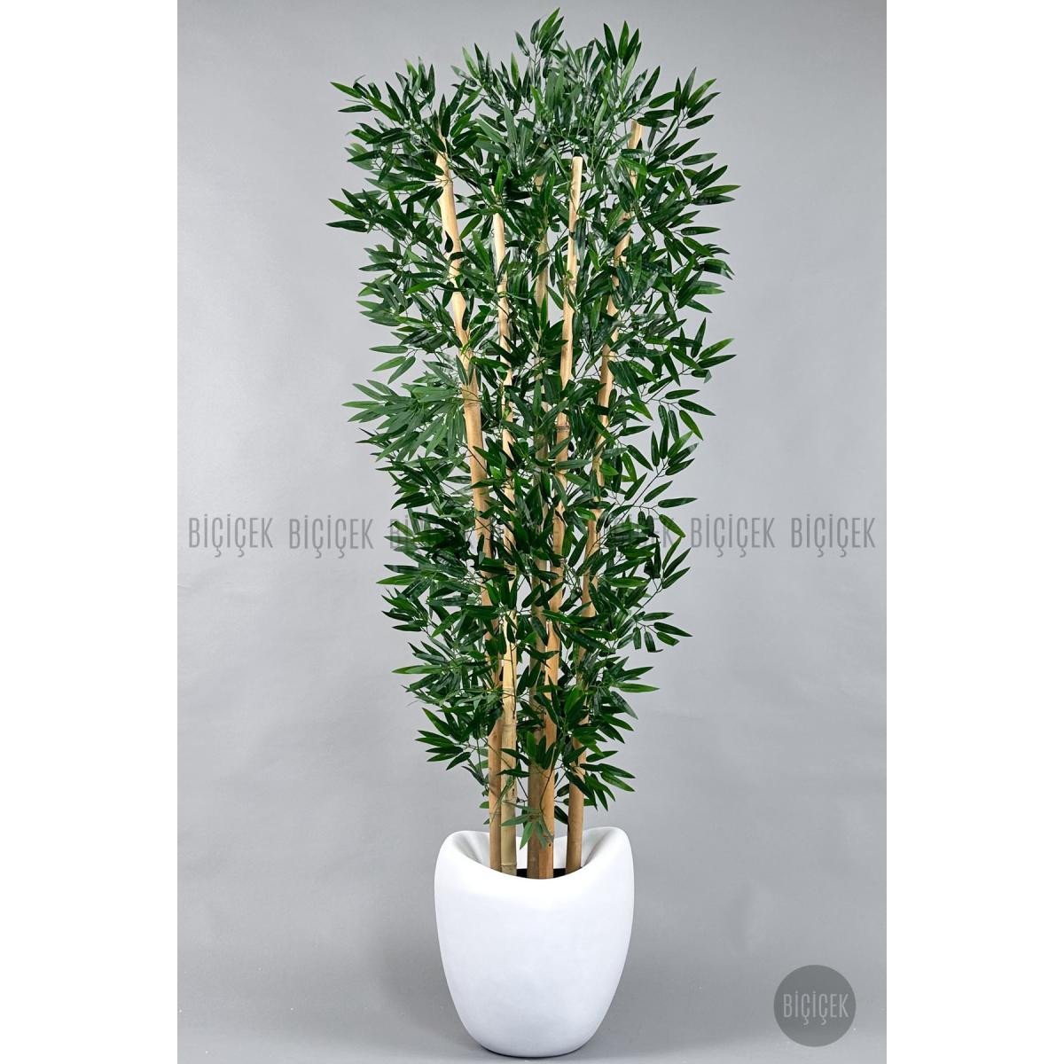 6e615a24695a12f6e727-0 Biçiçek Zen Bambu Ağacı
