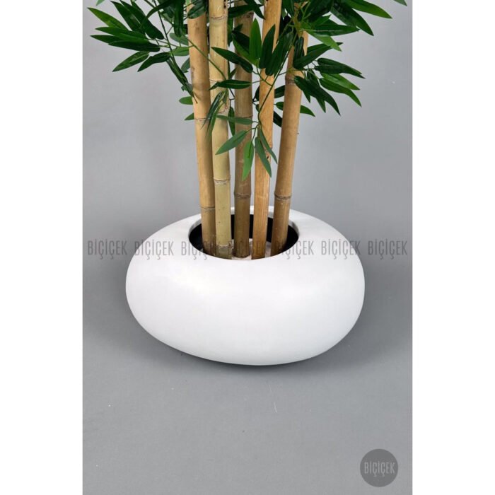 Biçiçek Zen Bambu Ağacı 2