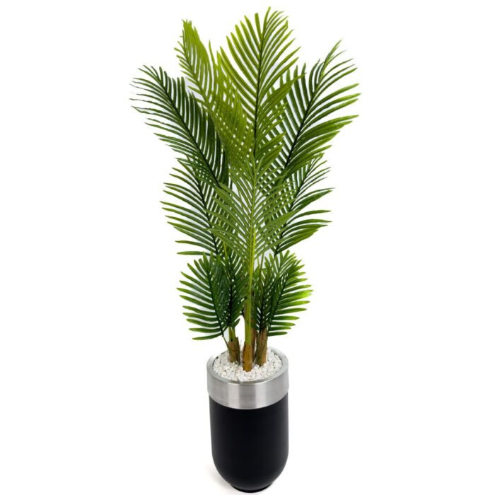 Biçiçek Areka Palmiyesi 160cm 5