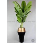 Biçiçek 220cm Starliçe Bitkisi 4