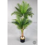 Biçiçek Areka Palmiyesi 220cm 5