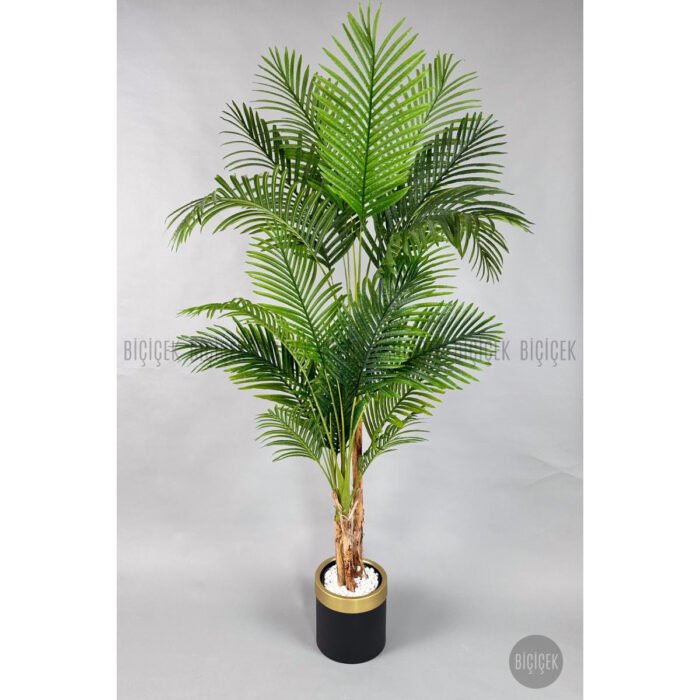 Biçiçek Areka Palmiyesi 220cm 5