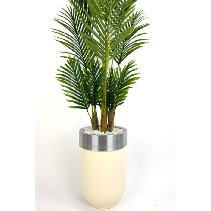 Biçiçek Areka Palmiyesi 160cm 5