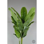 Biçiçek 220cm Starliçe Bitkisi 6