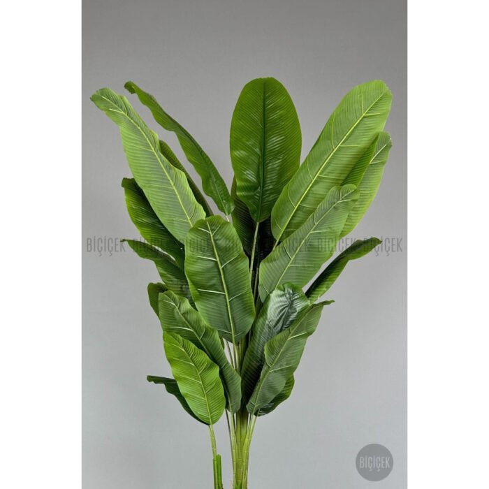 Biçiçek 220cm Starliçe Bitkisi 6