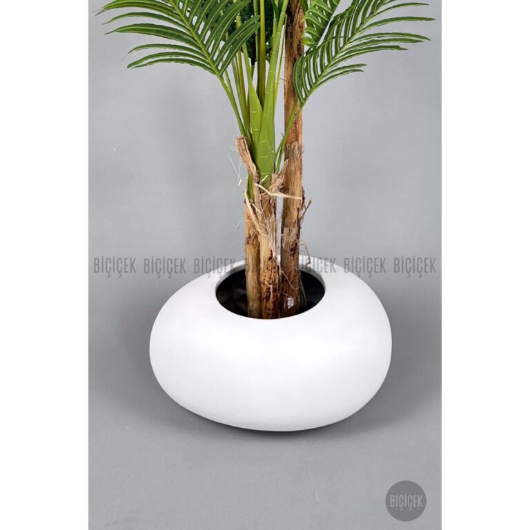 Biçiçek Areka Ağacı 220-240 2