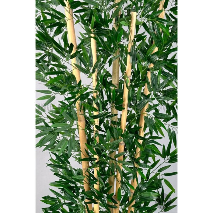 Biçiçek Zen Bambu Ağacı 2