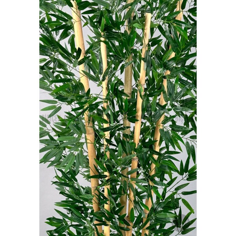 Biçiçek Zen Bambu Ağacı 2
