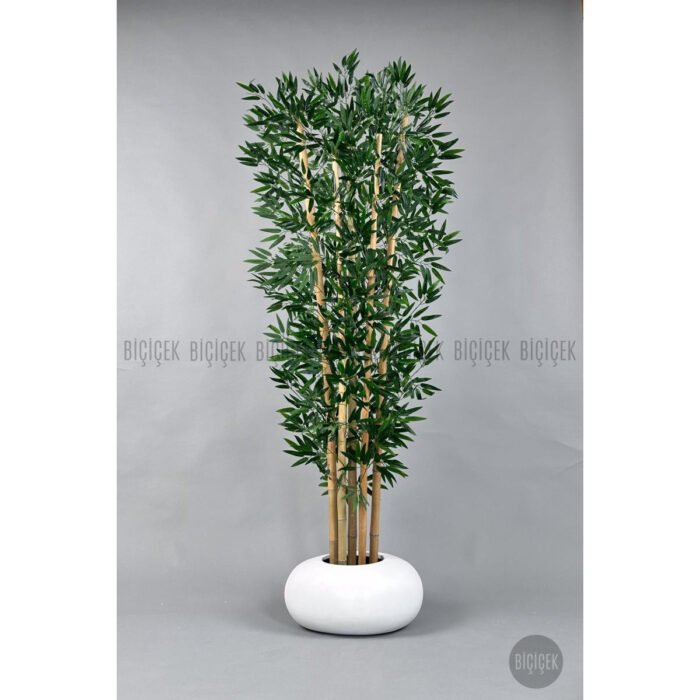 Biçiçek Zen Bambu Ağacı 4