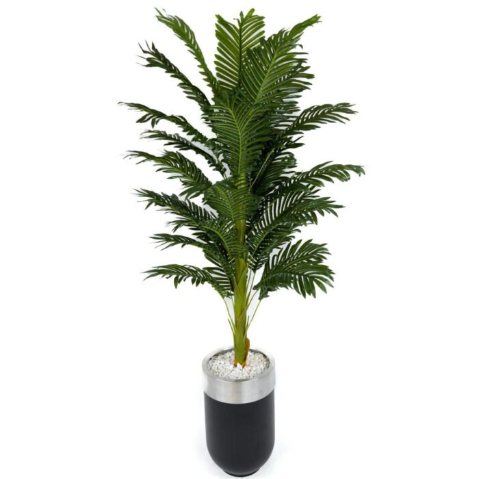 Biçiçek Areka Palmiyesi 170cm 3
