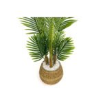 Biçiçek Areka Palmiyesi 130cm 2