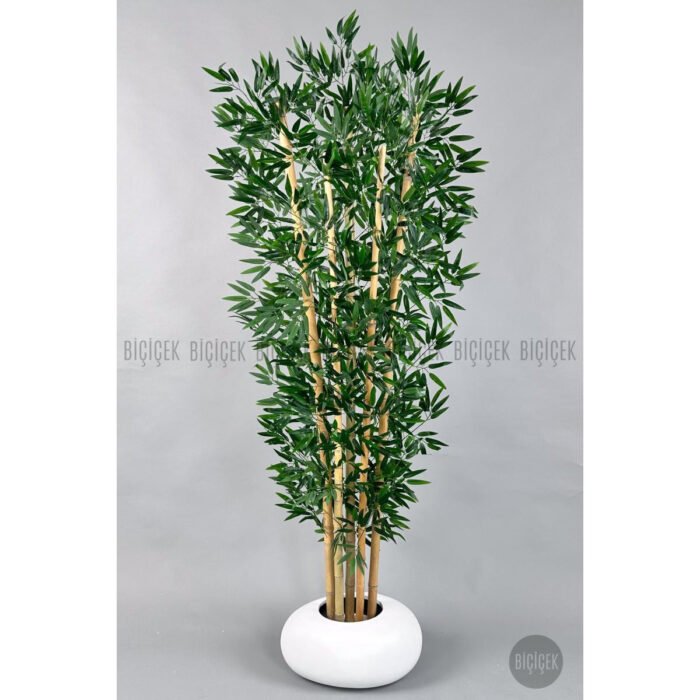 Biçiçek Zen Bambu Ağacı 5