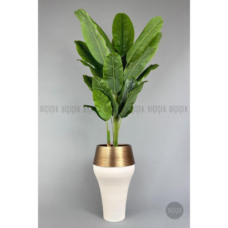 Biçiçek 220cm Starliçe Bitkisi