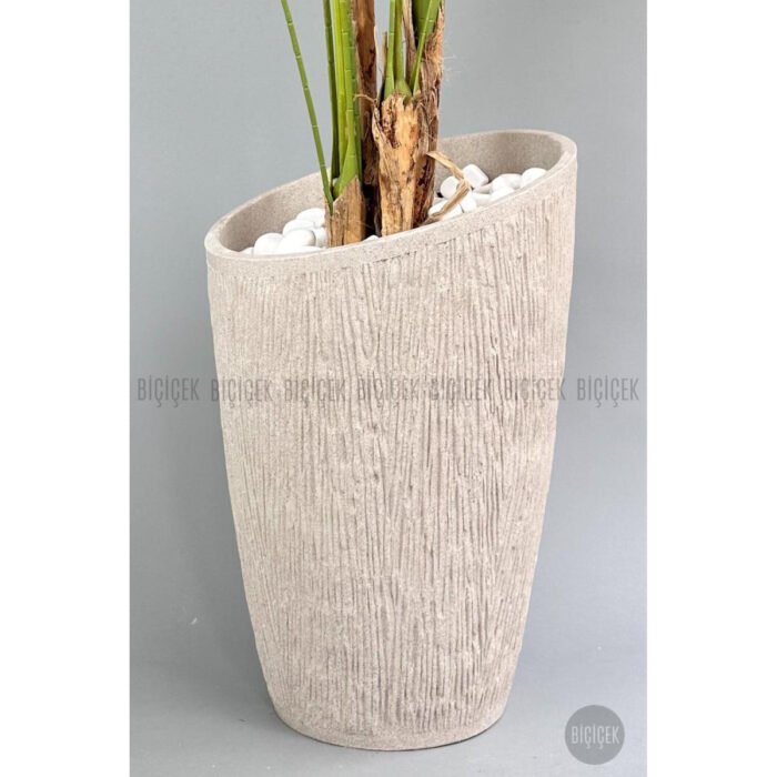 Biçiçek Areka Palmiyesi 250 4