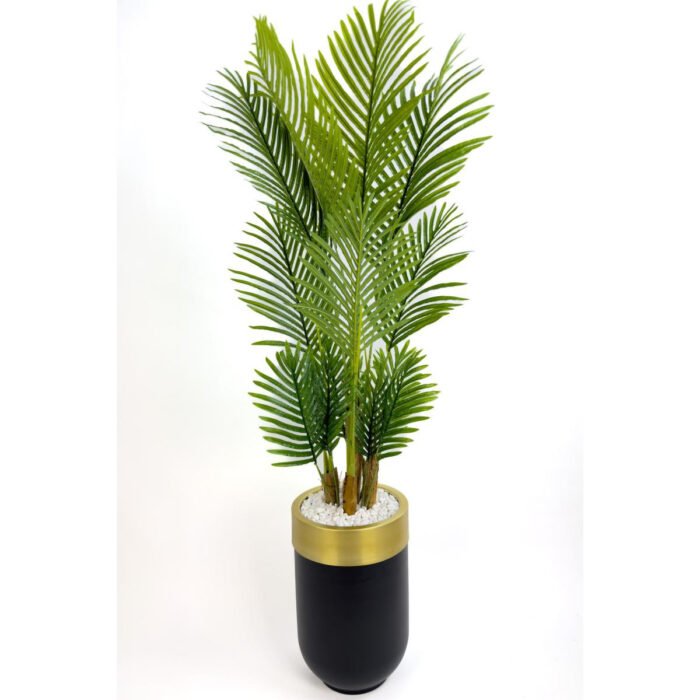 Biçiçek Areka Palmiyesi 160cm 5