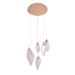 Apliqa Ardea 6'lı Gold 4