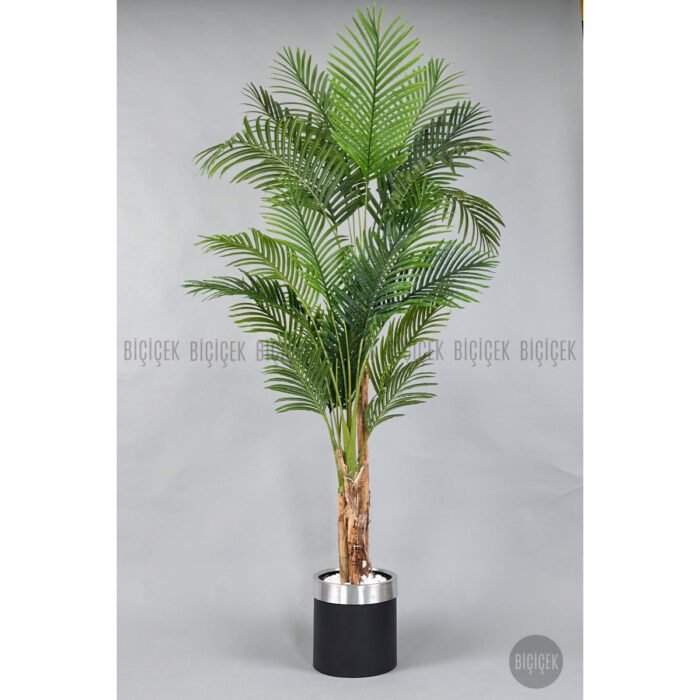 Biçiçek Areka Palmiyesi 220cm 5