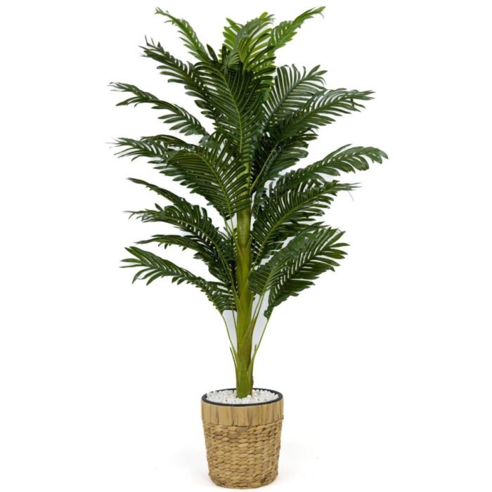 Biçiçek Areka Palmiyesi 140cm 3