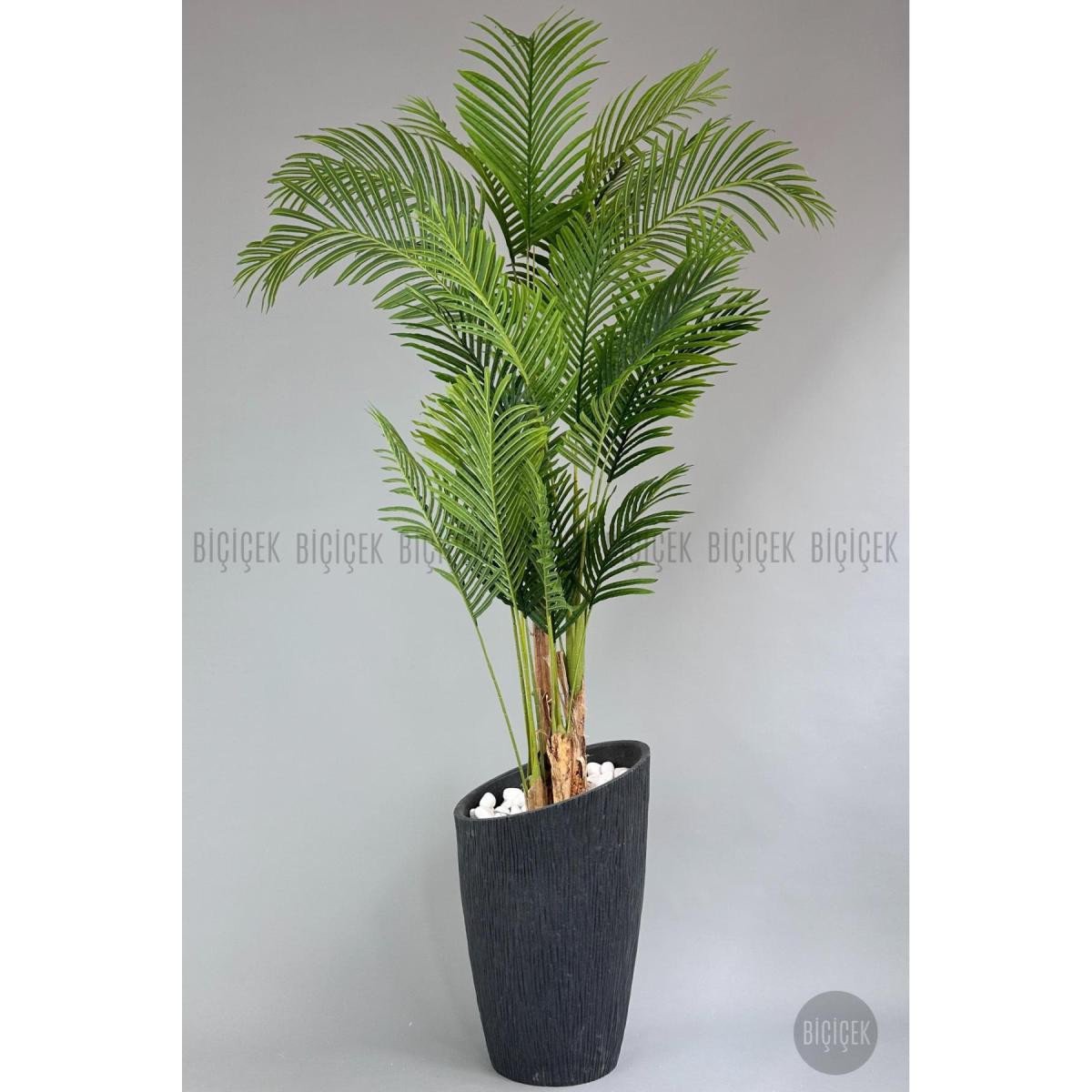9ab8d0387401824fbef4-0 Biçiçek Areka Palmiyesi 250