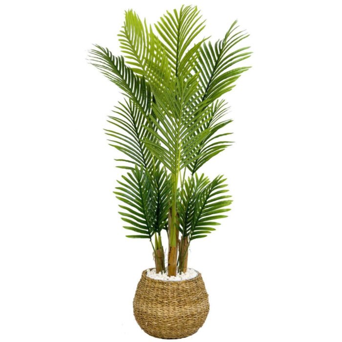 Biçiçek Areka Palmiyesi 130cm 3