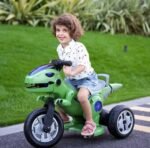 Çift Motorlu ve 12V 2