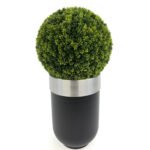 Biçiçek Şimşir Ağacı 90cm 5