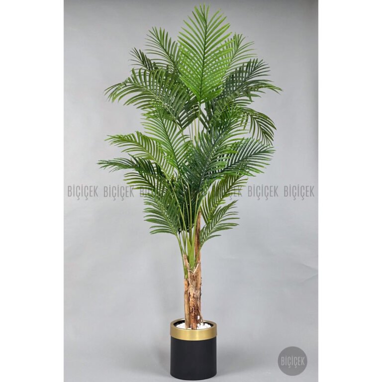 Biçiçek Areka Palmiyesi 220cm
