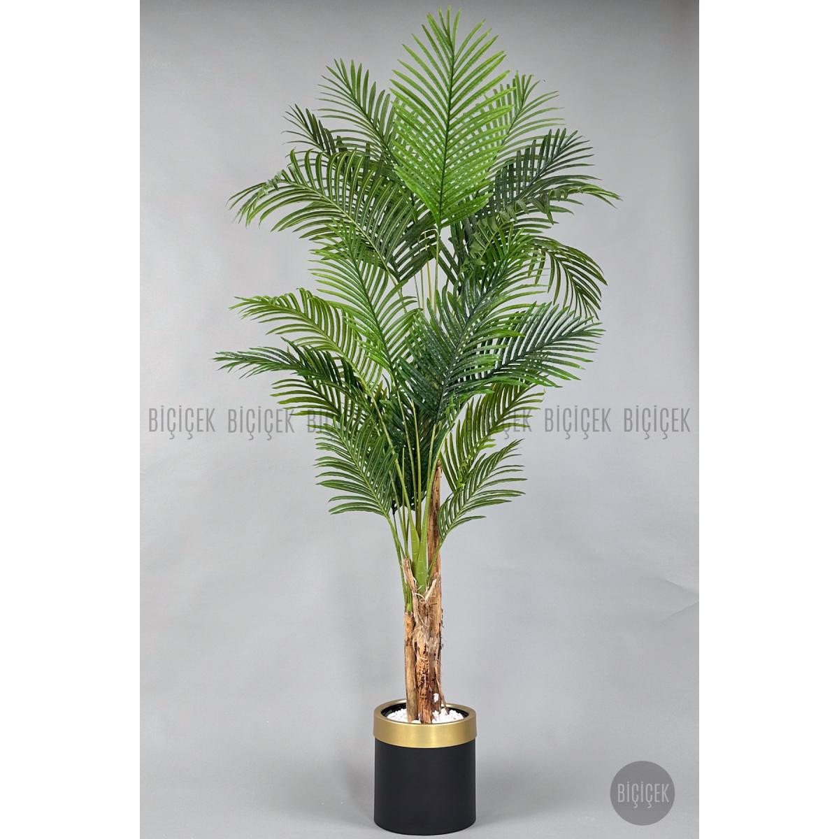 a11e3515bb1f6cabb658-0 Biçiçek Areka Palmiyesi 220cm