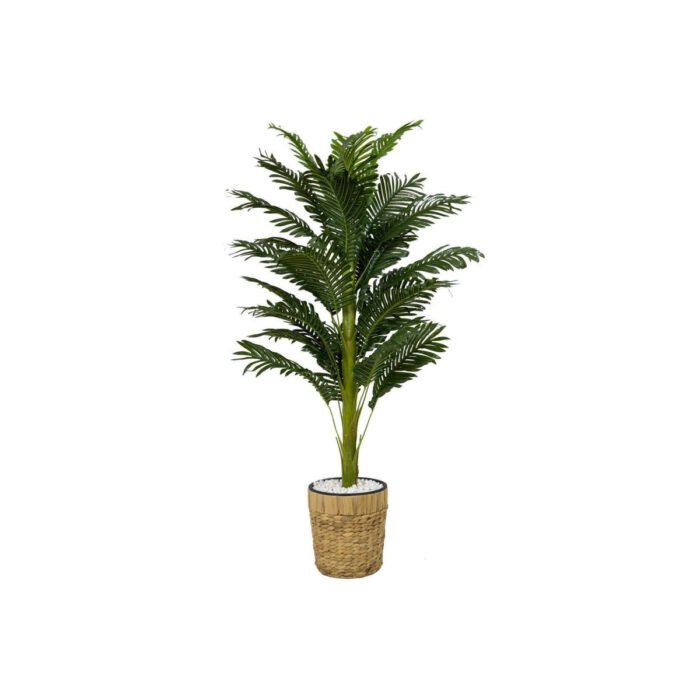 Biçiçek Areka Palmiyesi 140cm 4