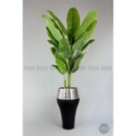 Biçiçek 220cm Starliçe Bitkisi 5