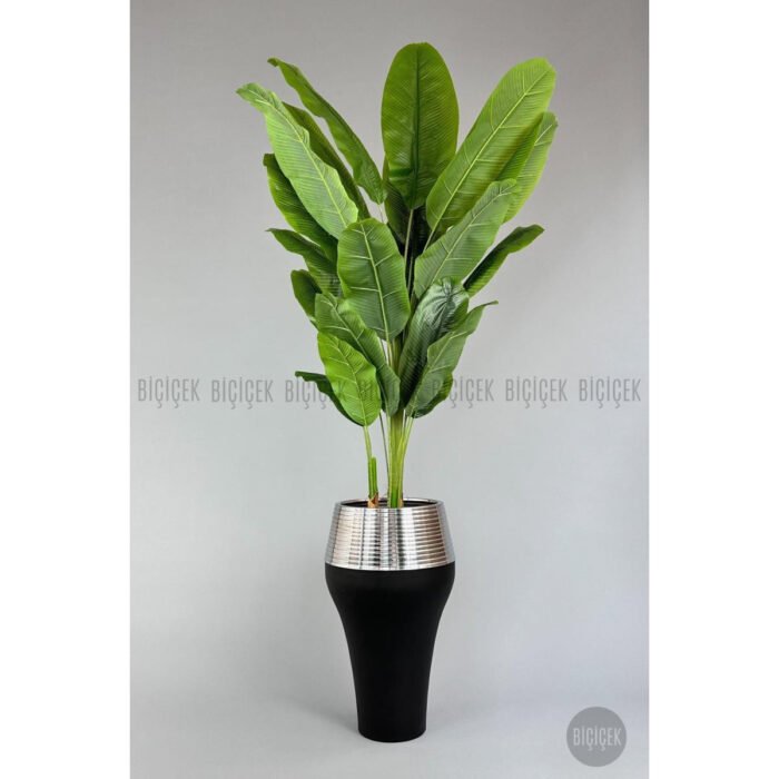 Biçiçek 220cm Starliçe Bitkisi 5