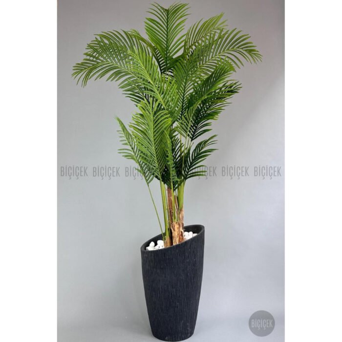 Biçiçek Areka Palmiyesi 250 5