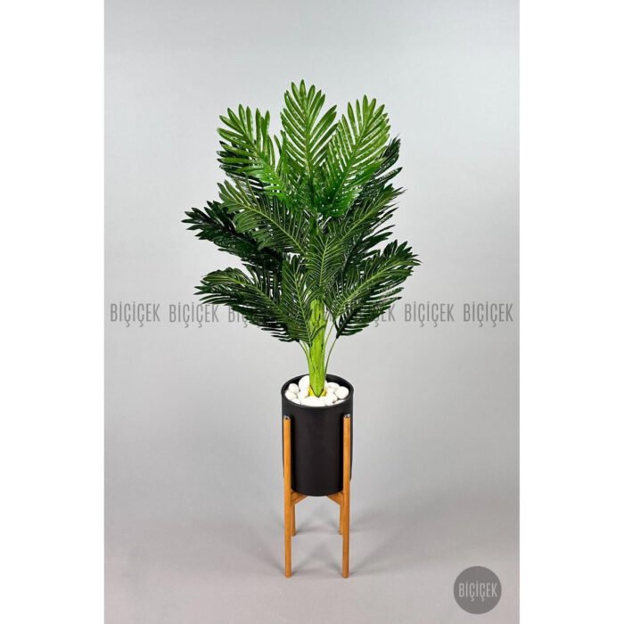 Biçiçek 150cm Areka Ağacı 4