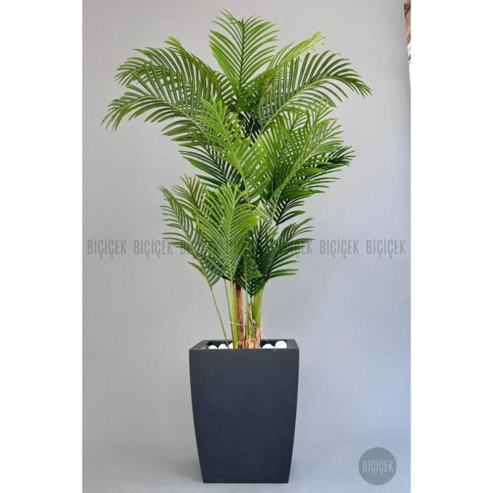 Biçiçek Areka Palmiyesi 220 4