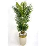 Biçiçek Areka Palmiyesi 160cm 6