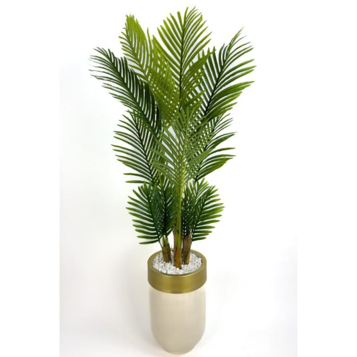 Biçiçek Areka Palmiyesi 160cm 6