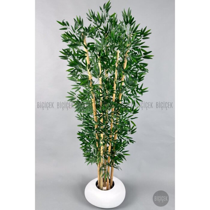 Biçiçek Zen Bambu Ağacı 6