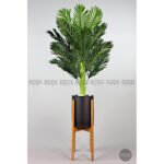 Biçiçek 150cm Areka Ağacı 5