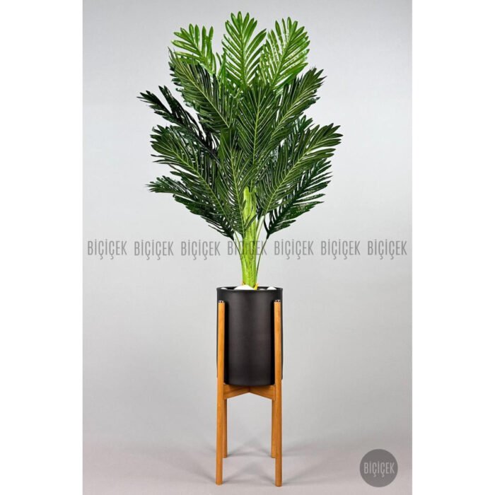 Biçiçek 150cm Areka Ağacı 5
