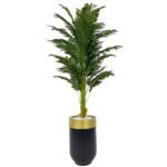 Biçiçek Areka Palmiyesi 170cm