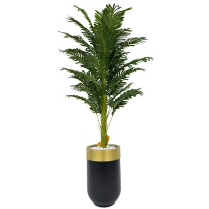 Biçiçek Areka Palmiyesi 170cm