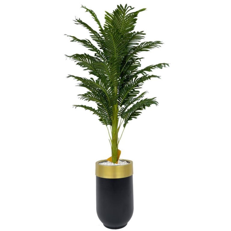 Biçiçek Areka Palmiyesi 170cm