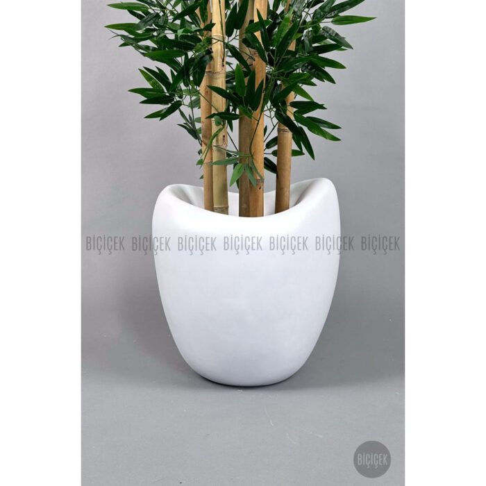 Biçiçek Zen Bambu Ağacı 4