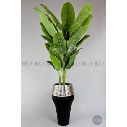 Biçiçek 220cm Starliçe Bitkisi
